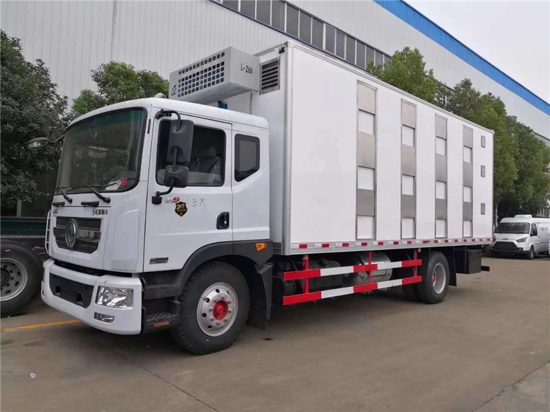 國六東風D9單橋雛禽運輸車