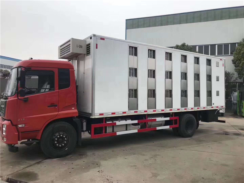 國六東風(fēng)D9單橋雛禽運(yùn)輸車